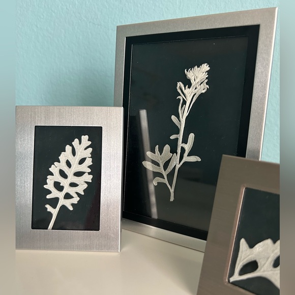 Handmade Home Décor- Pressed Dusty Miller in Silver Frames (Set of 4) - Picture 11 of 11